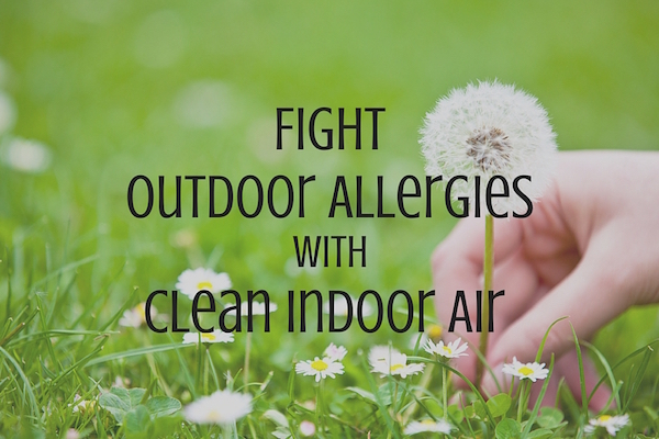 clean indoor air